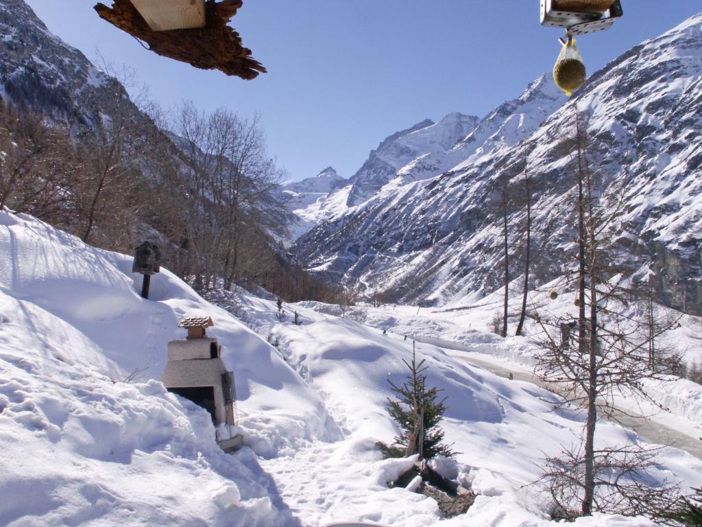 Chalet Epilobes room 5