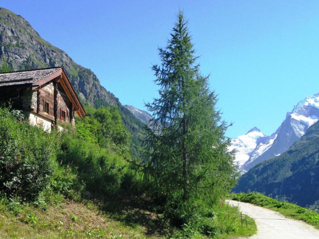 Chalet Epilobes room 6